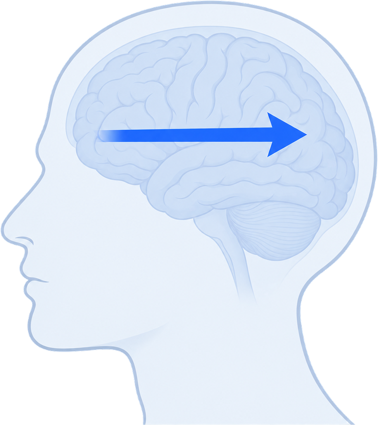 Awake: information flows from the front of the brain to the back