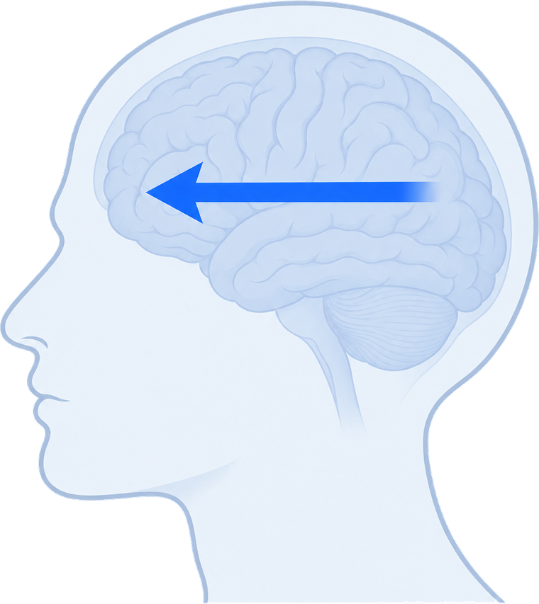 Sedated: information flows from the back of the brain to the front