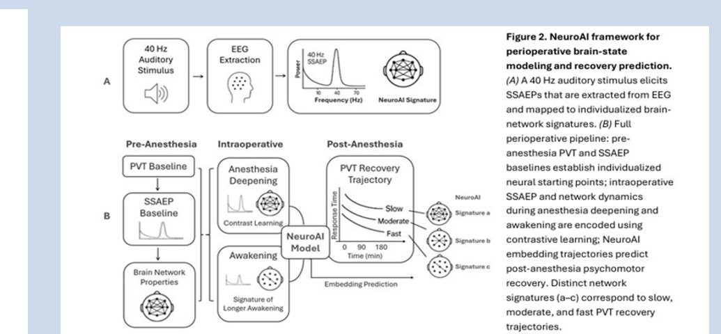 NeuroAI Framework: full perioperative pipeline from pre-anesthesia baseline through intra-operative monitoring to post-anesthesia recovery prediction